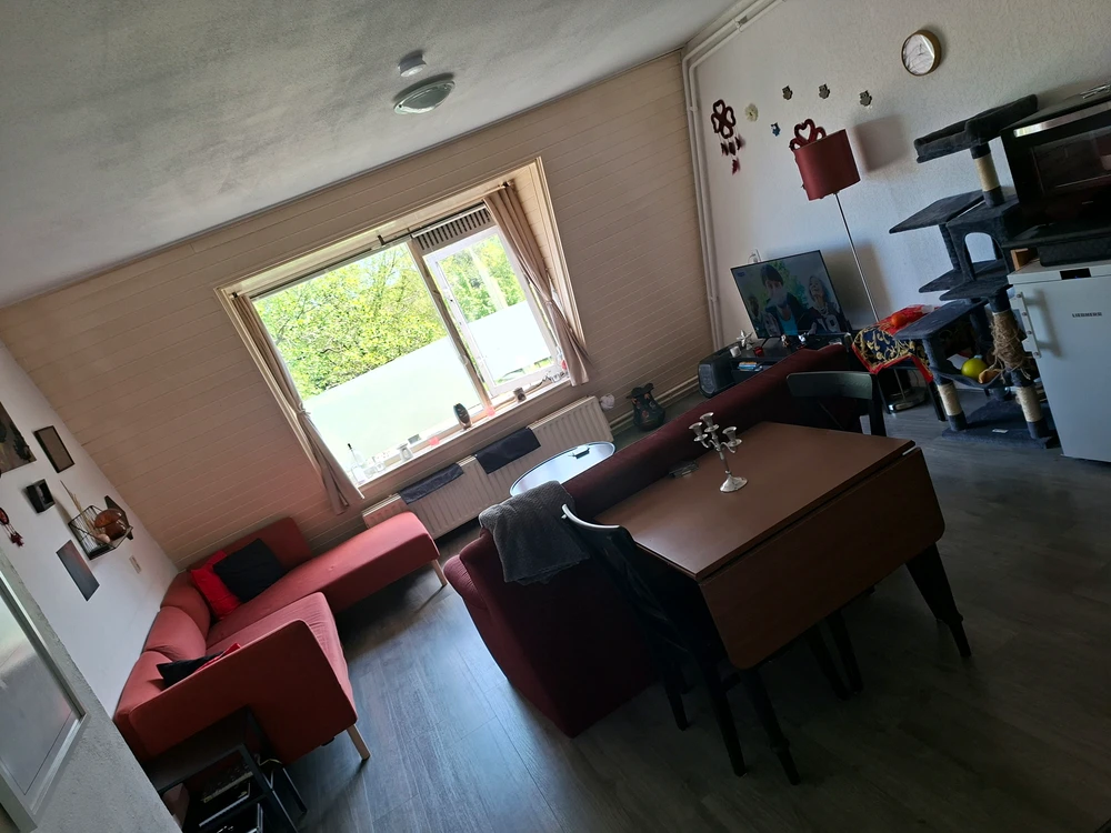 GIF uploaded by Stirba