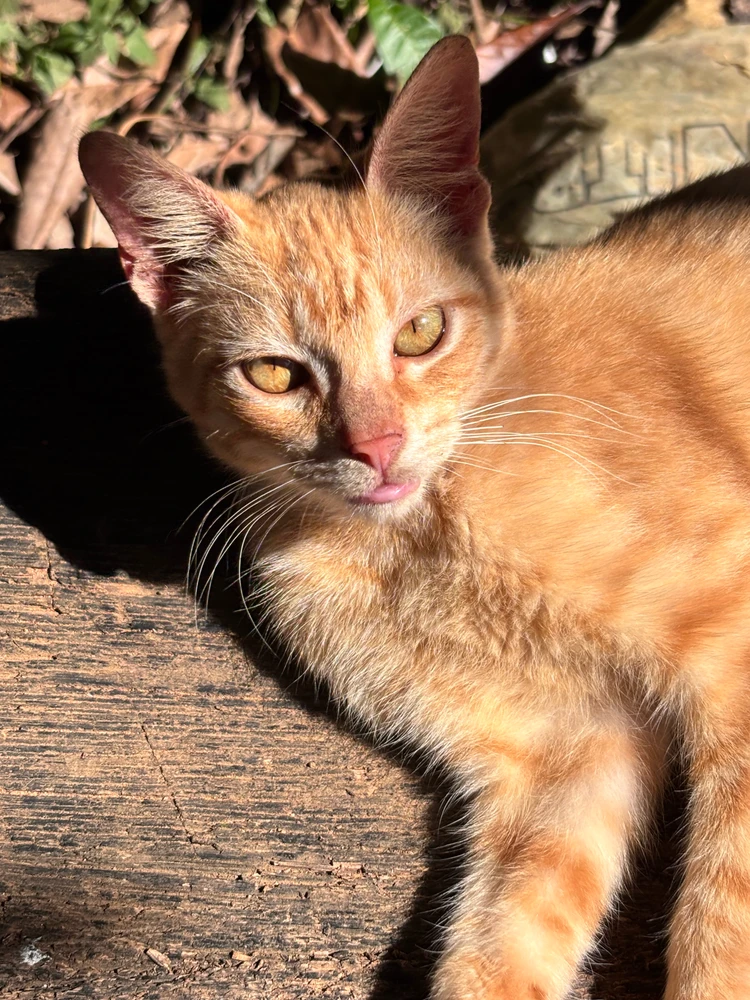 GIF uploaded by Amanda Hott