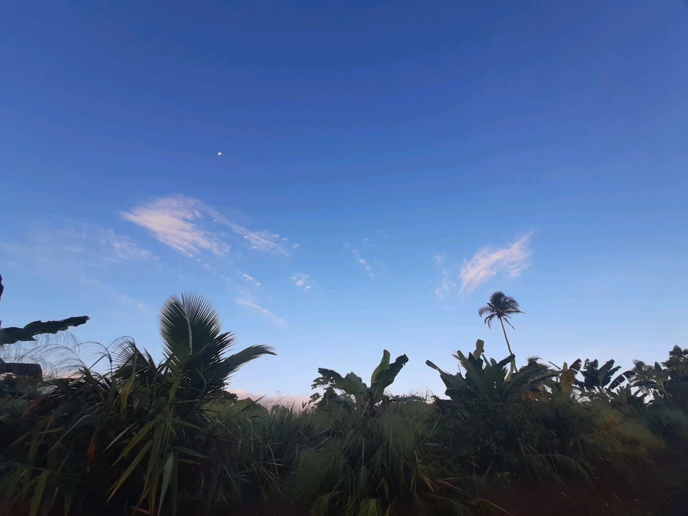 GIF uploaded by Mhirra