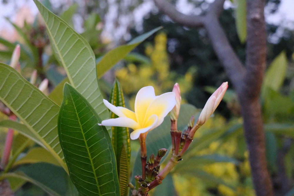 GIF uploaded by Anmol