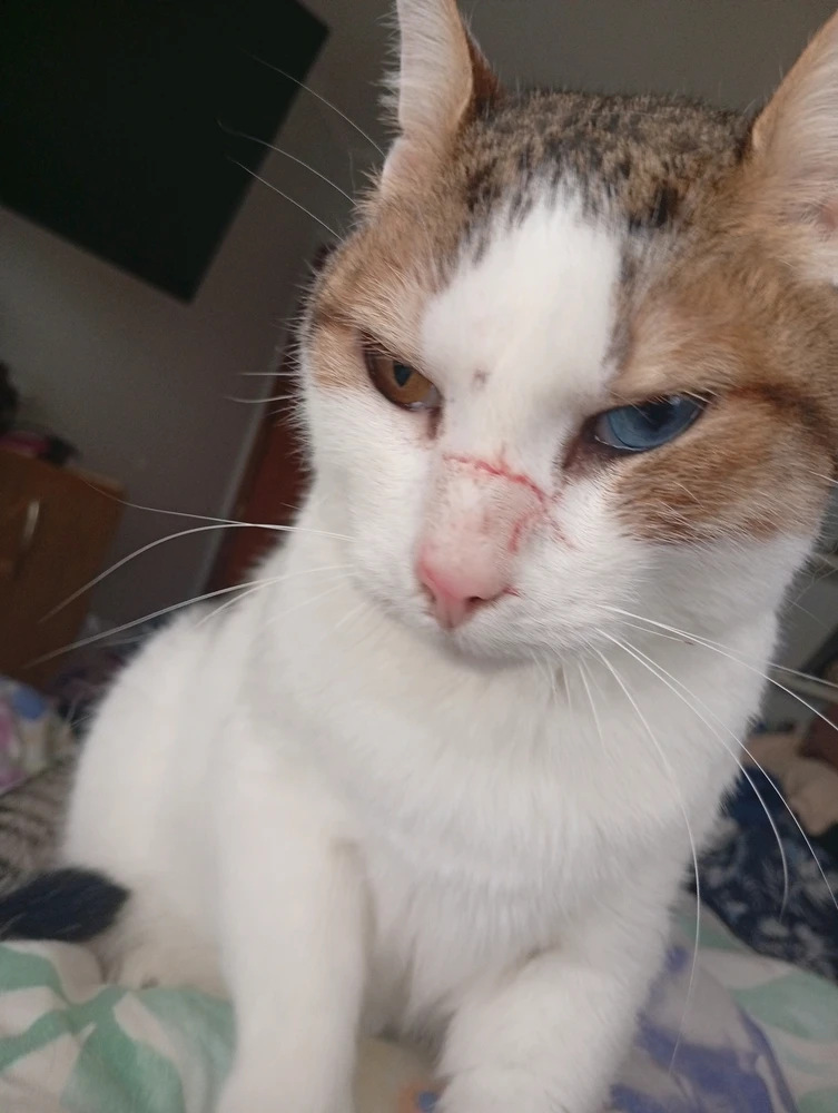 GIF uploaded by Vic