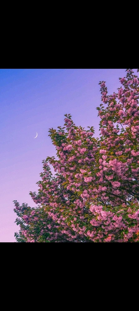 GIF uploaded by Taranjeet Kaur