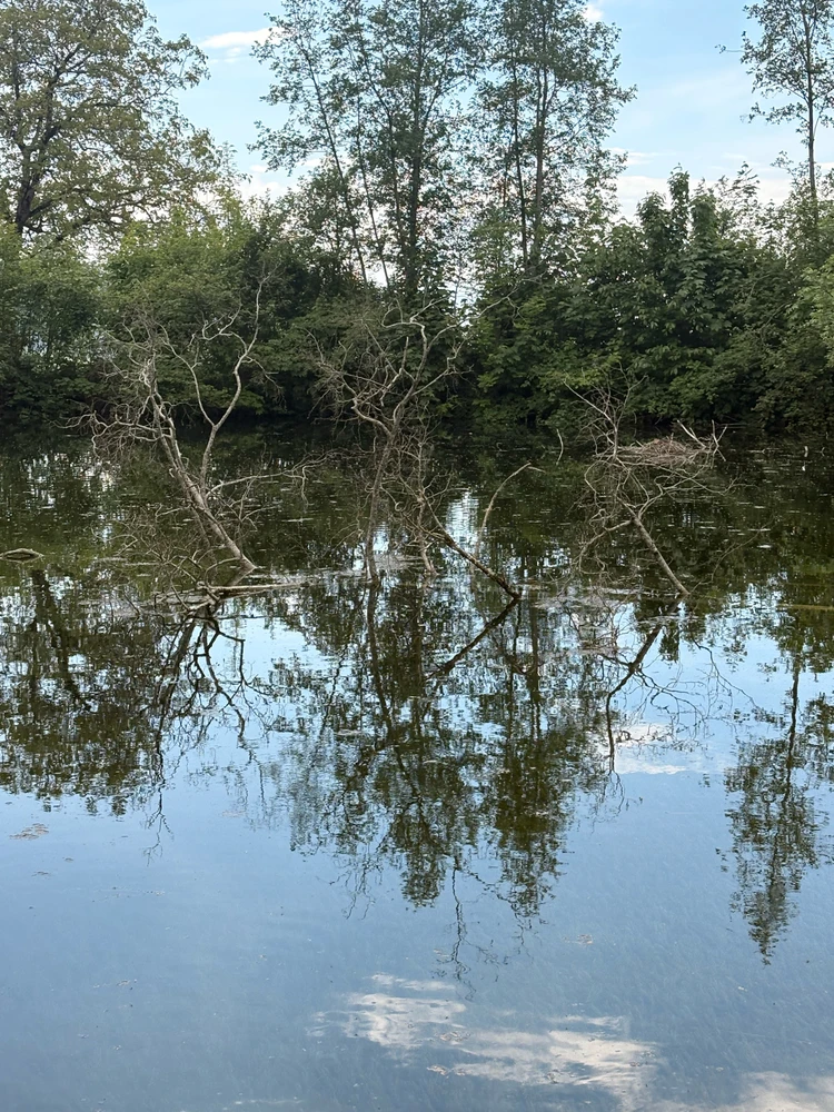 GIF uploaded by ℳ𝒾𝒹𝓃𝒾𝑔𝒽𝓉