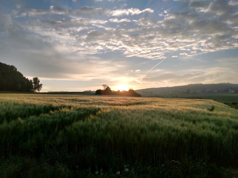 GIF uploaded by Florian