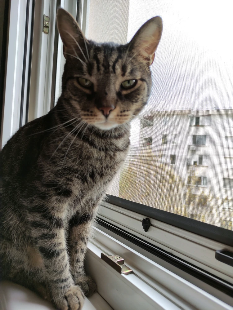 GIF uploaded by Nenad