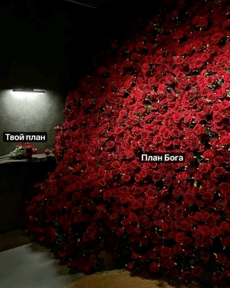 GIF uploaded by Анастасия