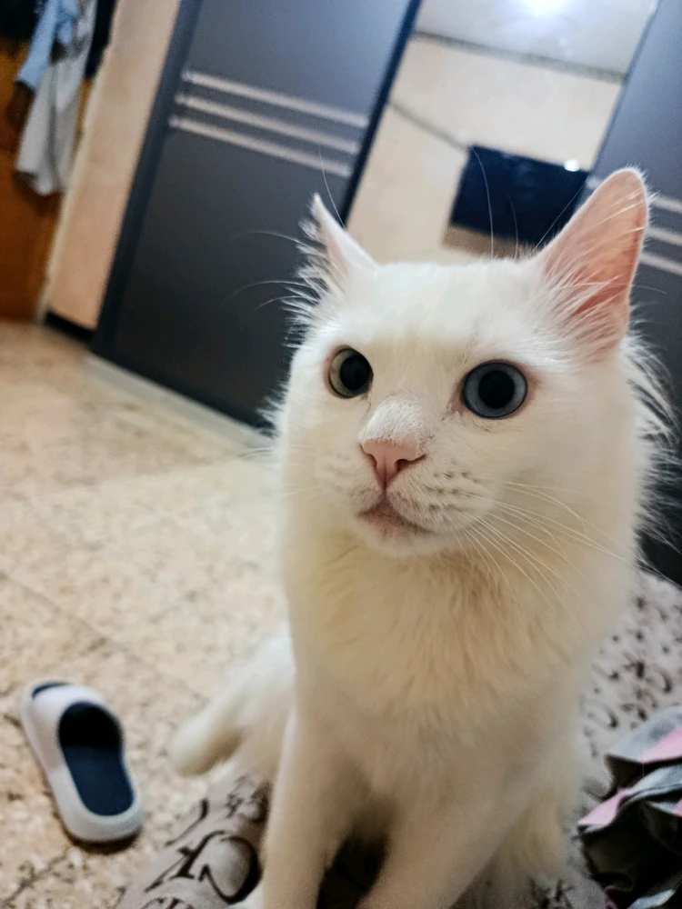 GIF uploaded by Kun iheb