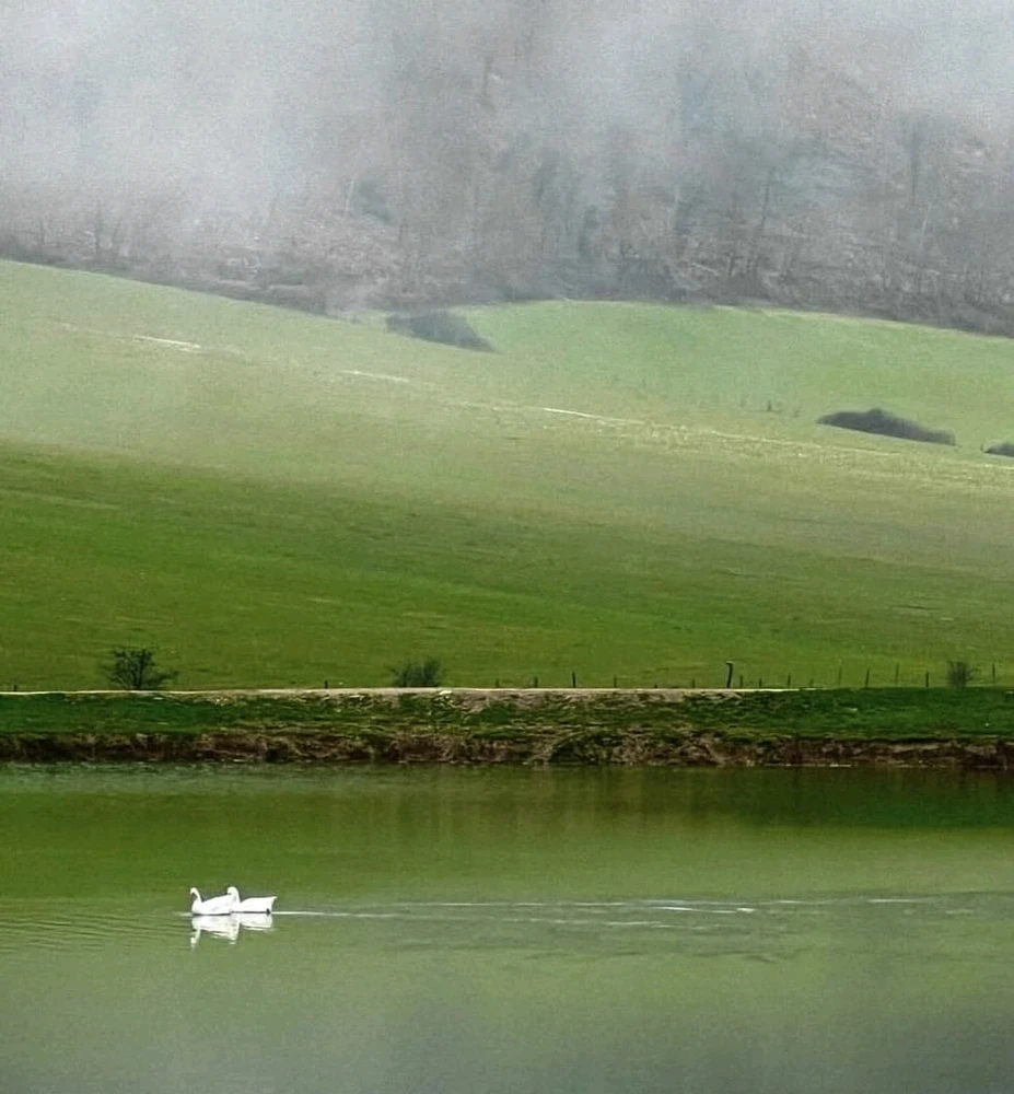 GIF uploaded by Marcos