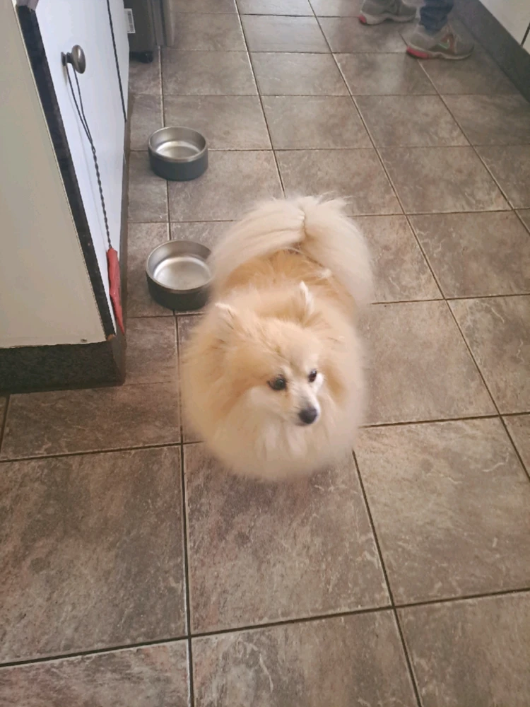GIF uploaded by Sandz