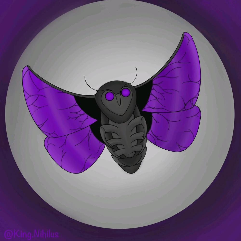 GIF uploaded by Thomas king