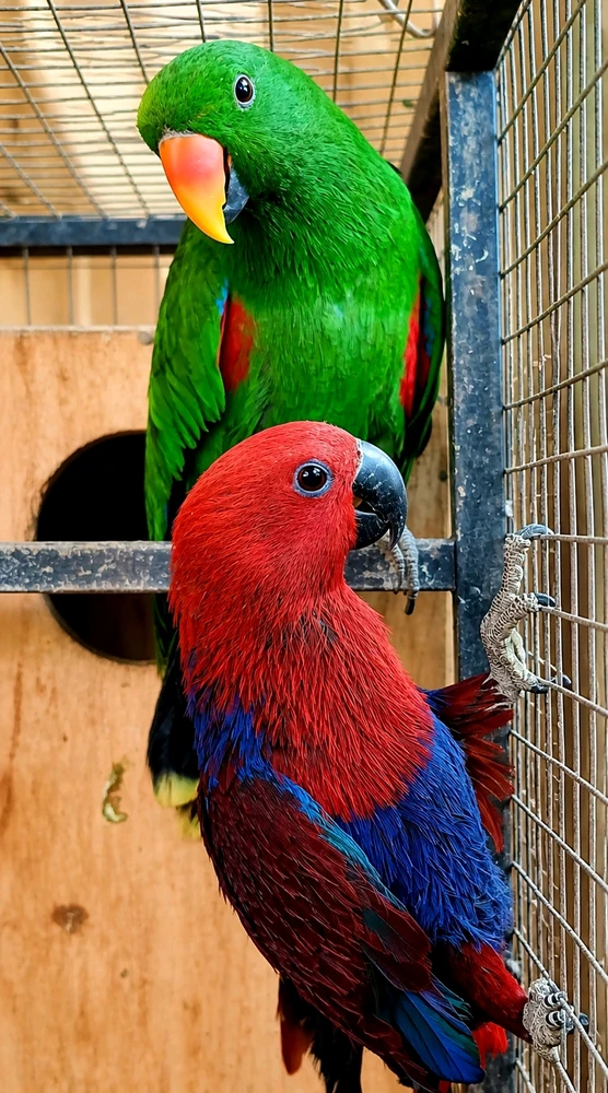 GIF uploaded by Peacock