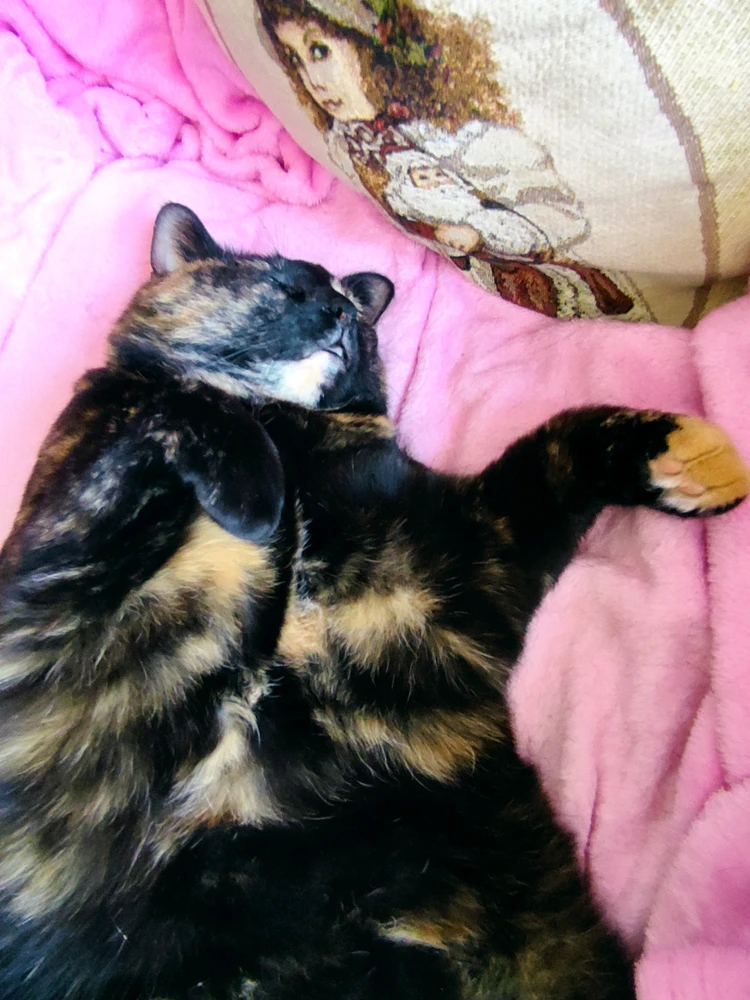 GIF uploaded by Nathalie