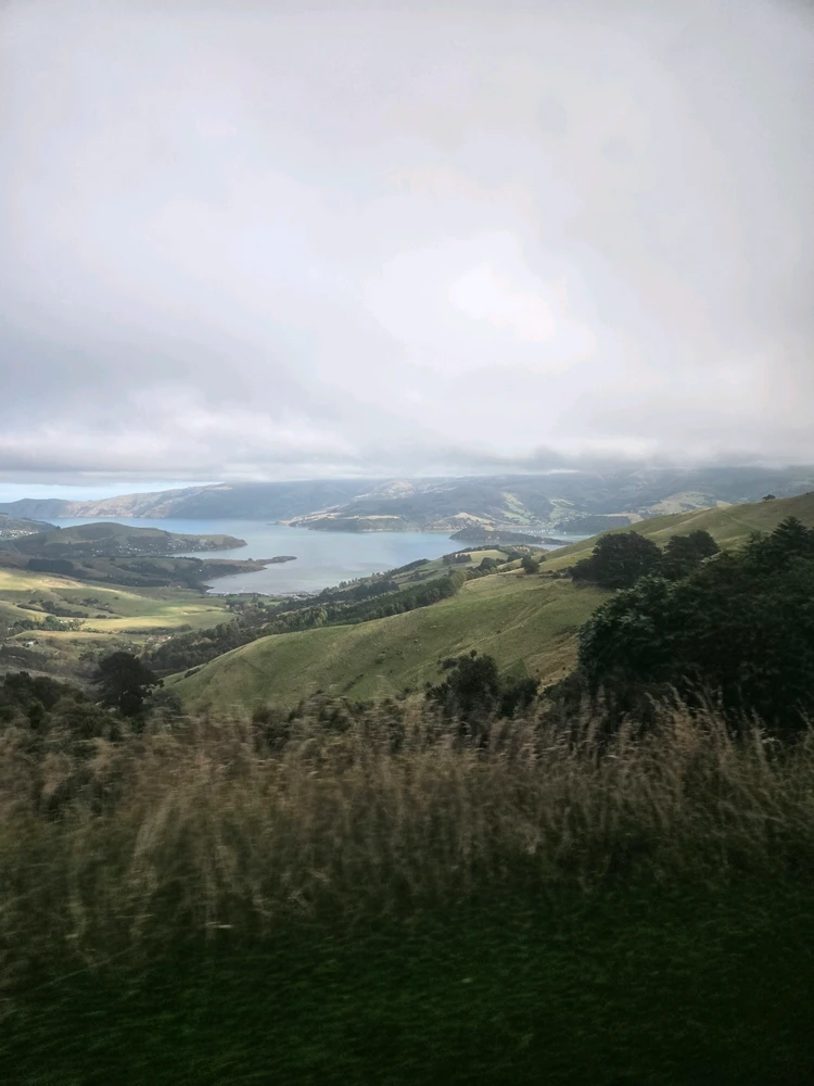Image uploaded by Kyle