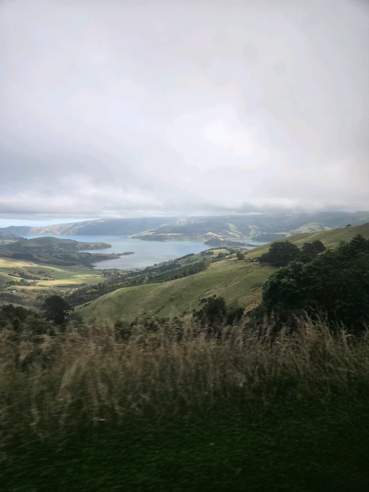 Image uploaded by Kyle
