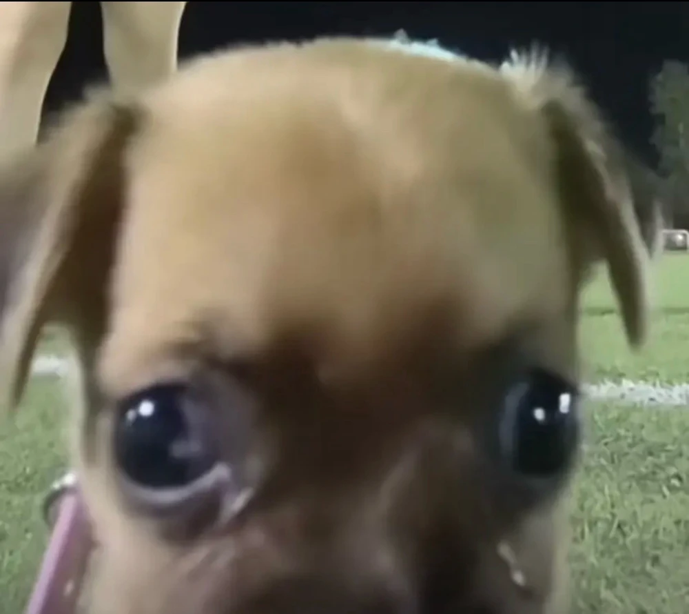 GIF uploaded by Gerardo