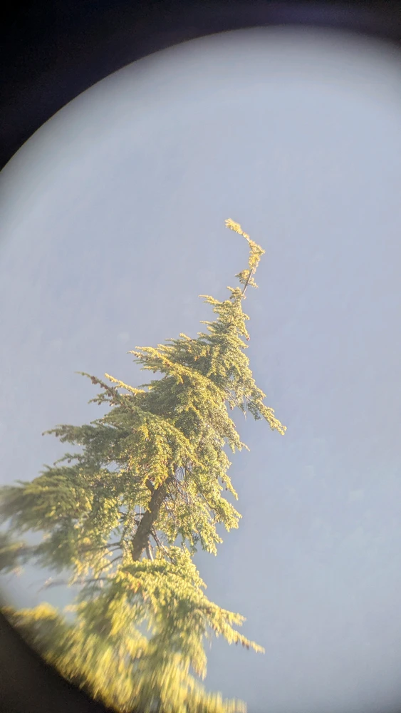 Image uploaded by Mint
