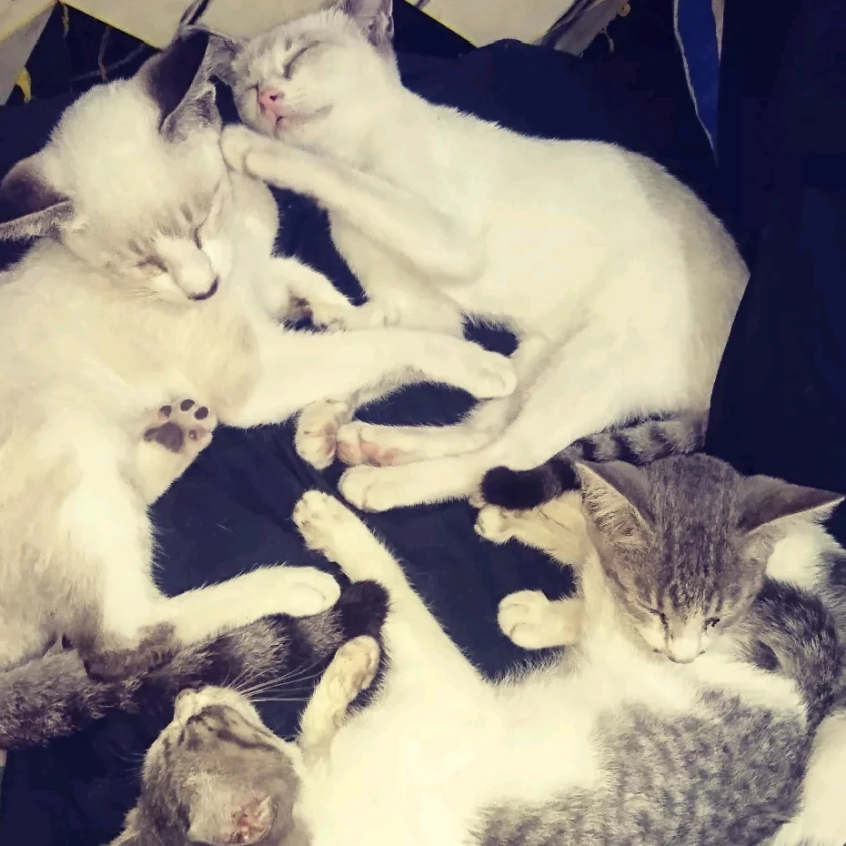 GIF uploaded by mazCheka