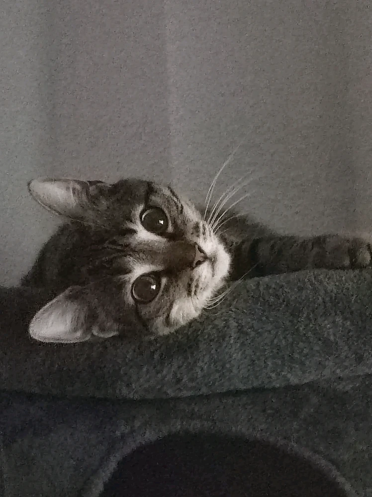 GIF uploaded by Jose Carlos
