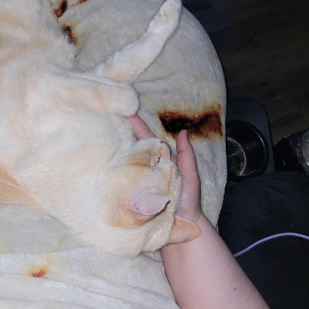 GIF uploaded by Lindi