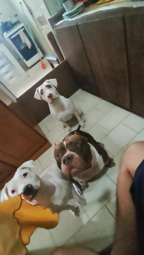 GIF uploaded by Luiz felipe