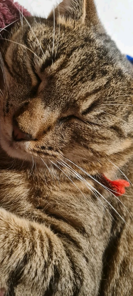 GIF uploaded by Ieu