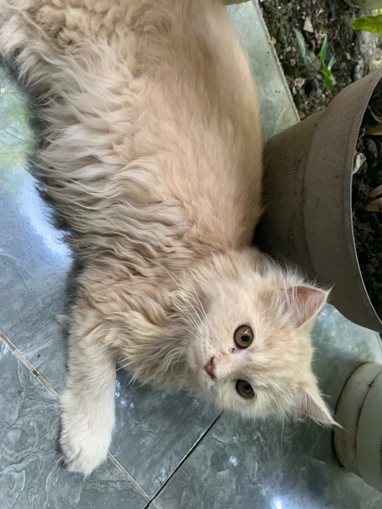 GIF uploaded by Fasha