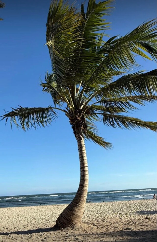 GIF subido por Luna
