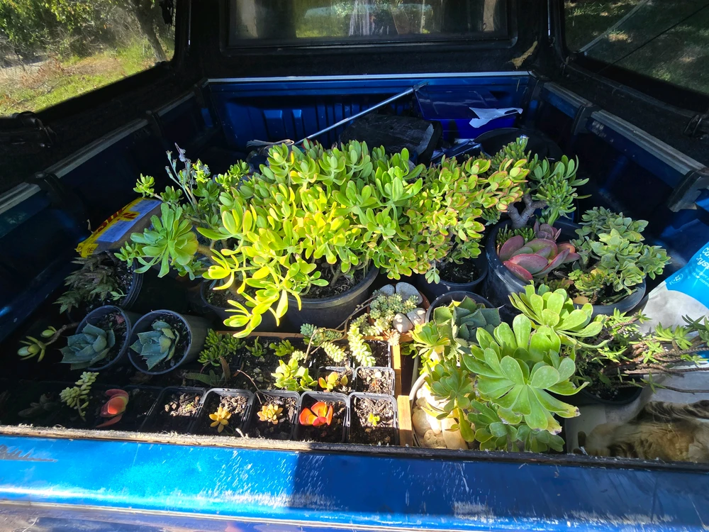 GIF uploaded by DeanO