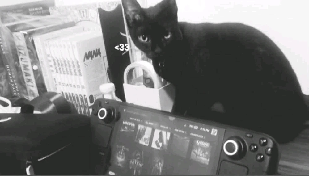 GIF uploaded by Rai