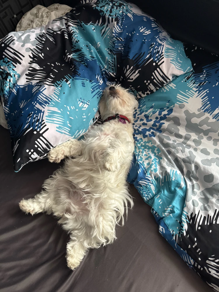 GIF uploaded by Filip