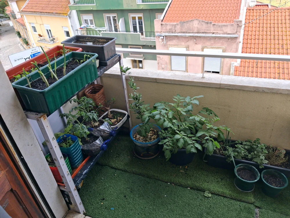 Image uploaded by Mateus
