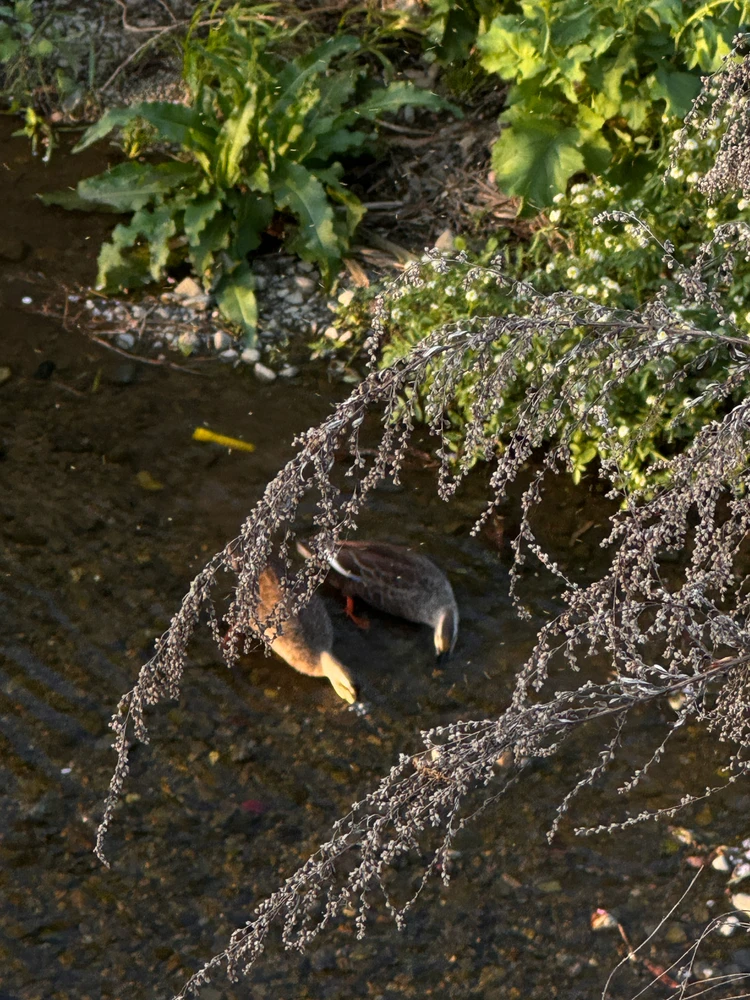 Image uploaded by Ben