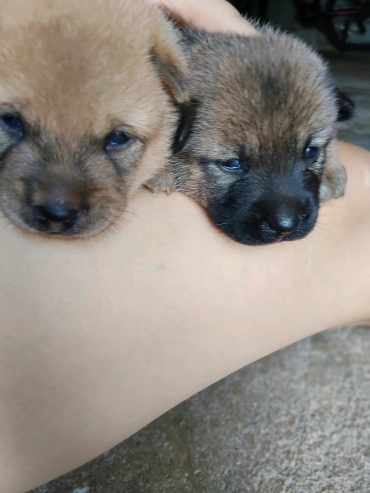 GIF uploaded by Angel