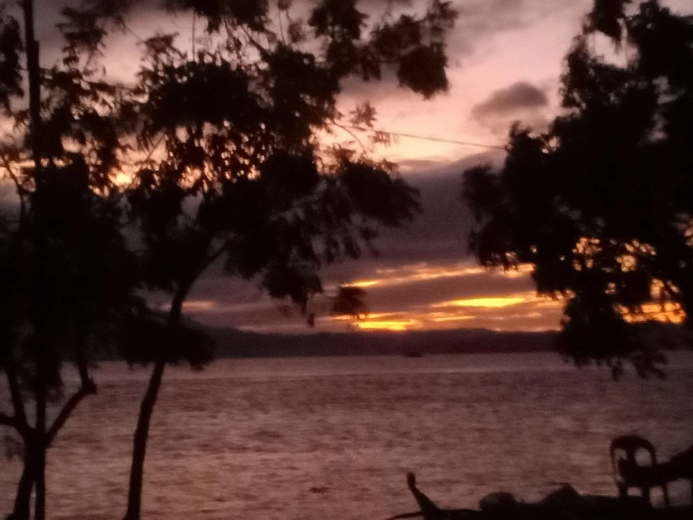 GIF uploaded by zee