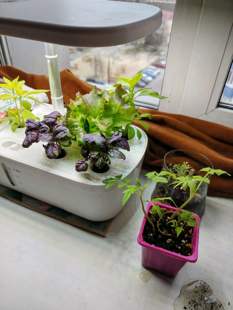 GIF uploaded by Tusya