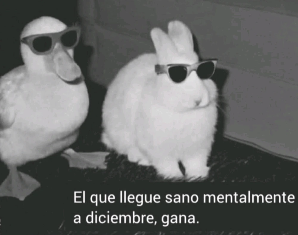 GIF subido por Fernanda