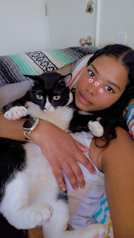 GIF uploaded by Faylan
