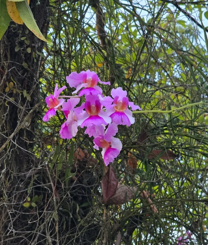 GIF uploaded by Bettyboo