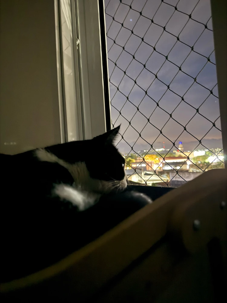 GIF uploaded by Camila