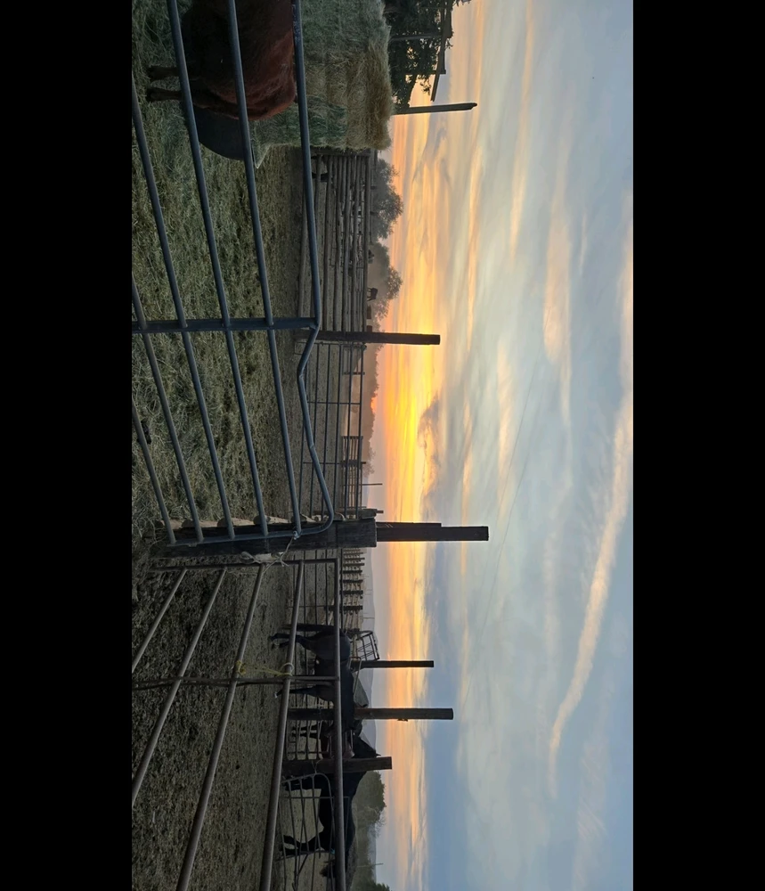 Image uploaded by Malachi