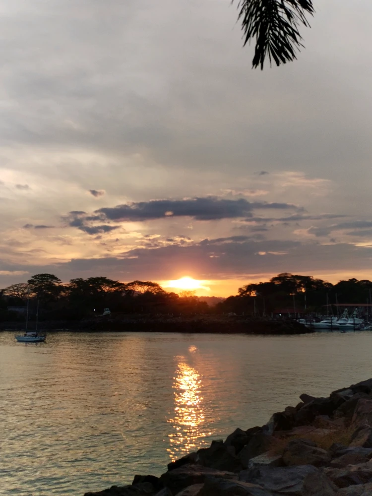 GIF uploaded by Manuel