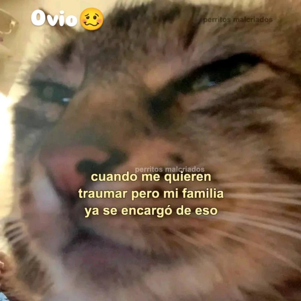 Image uploaded by Axel