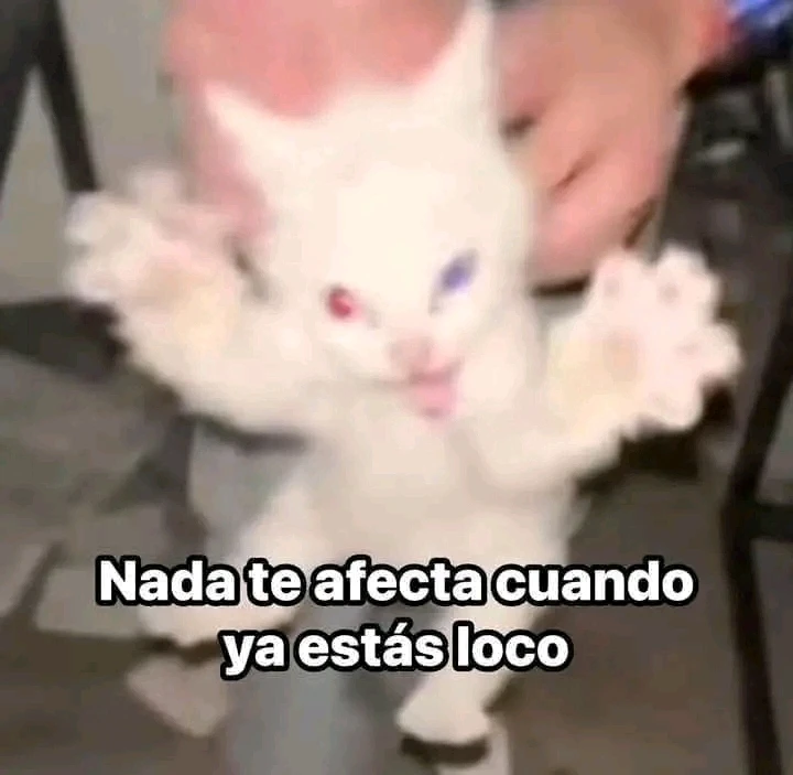 Image uploaded by Axel