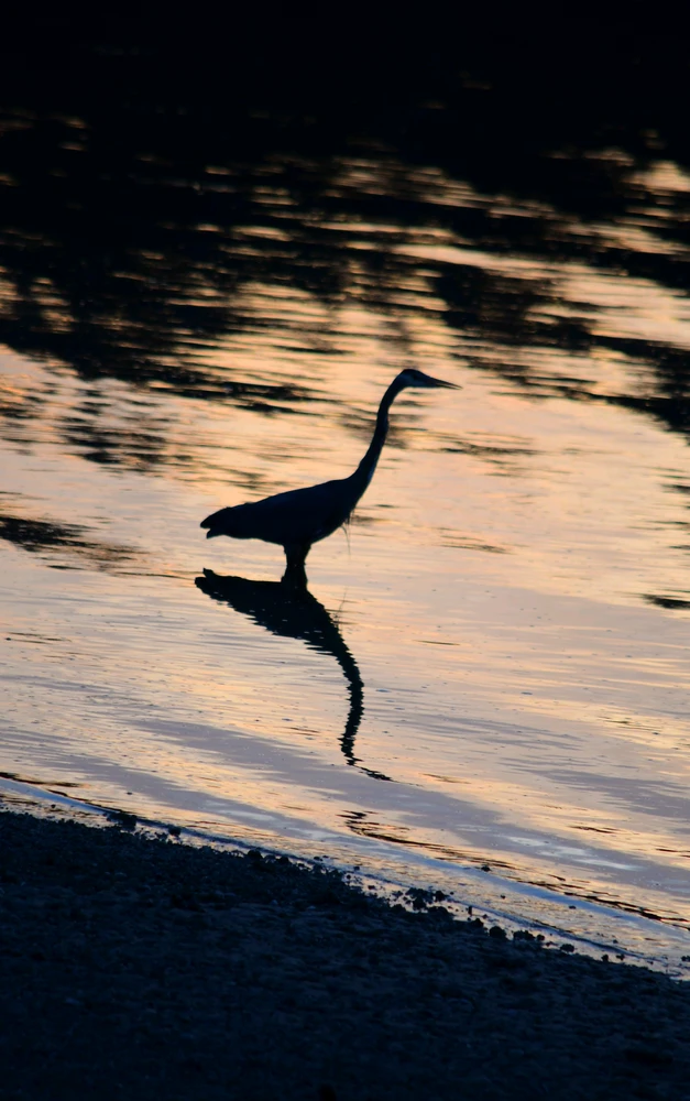 GIF uploaded by Endless