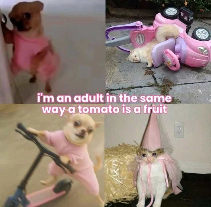 GIF uploaded by Aida