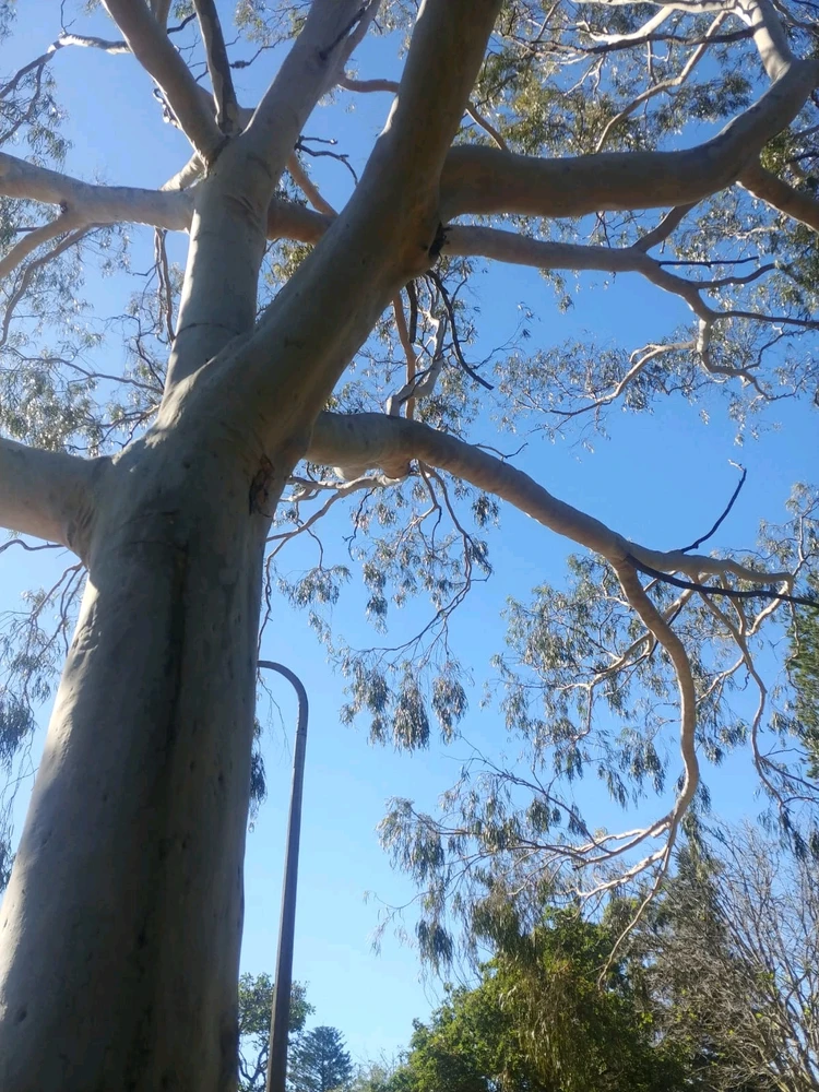 GIF uploaded by Sandz