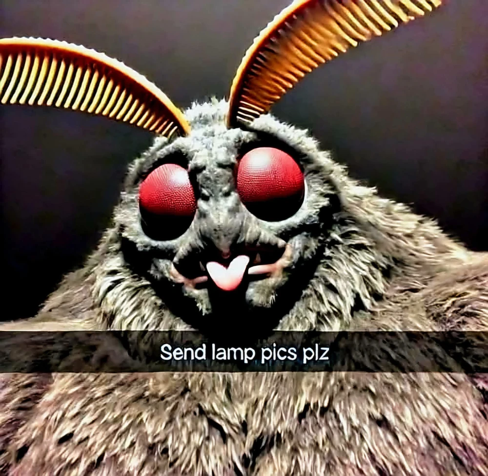 GIF uploaded by ℳ𝒾𝒹𝓃𝒾𝑔𝒽𝓉