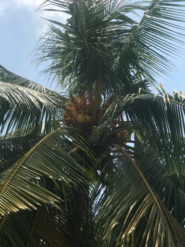 GIF uploaded by S