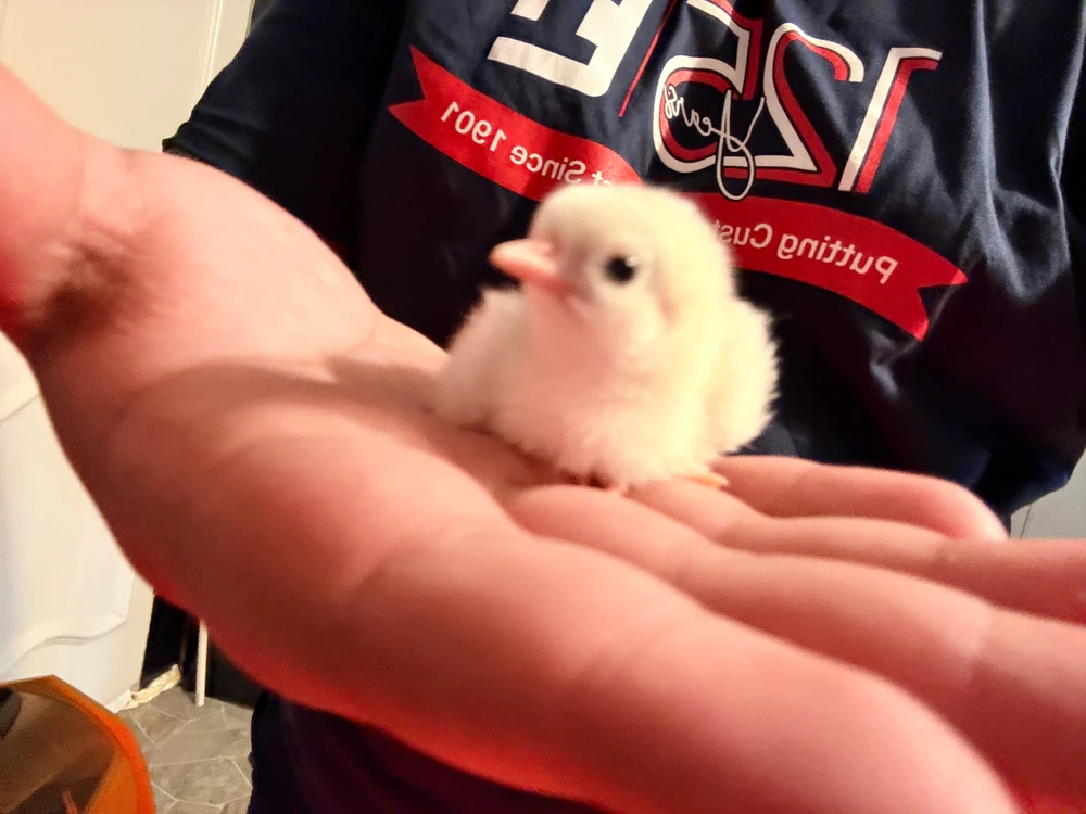 GIF uploaded by Dystro