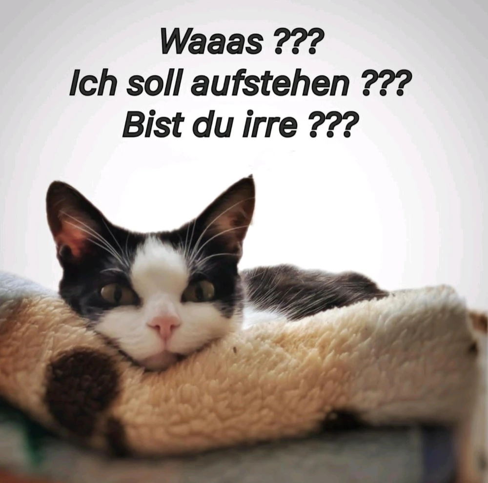 GIF hochgeladen von Sven